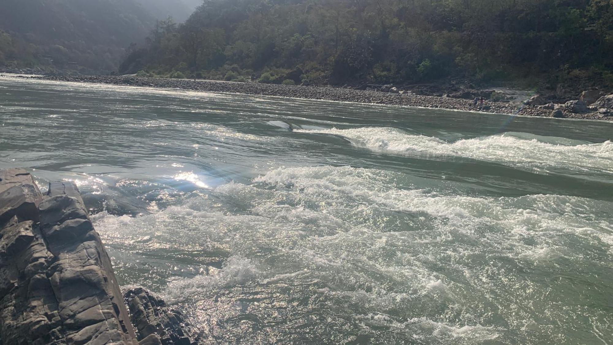 Luxury Aloha Majestic * Rishikesh